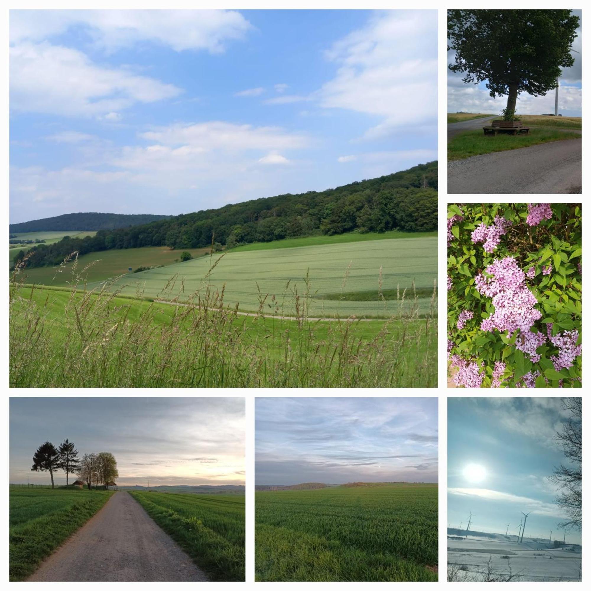 Gaestezimmer Privatunterkunft